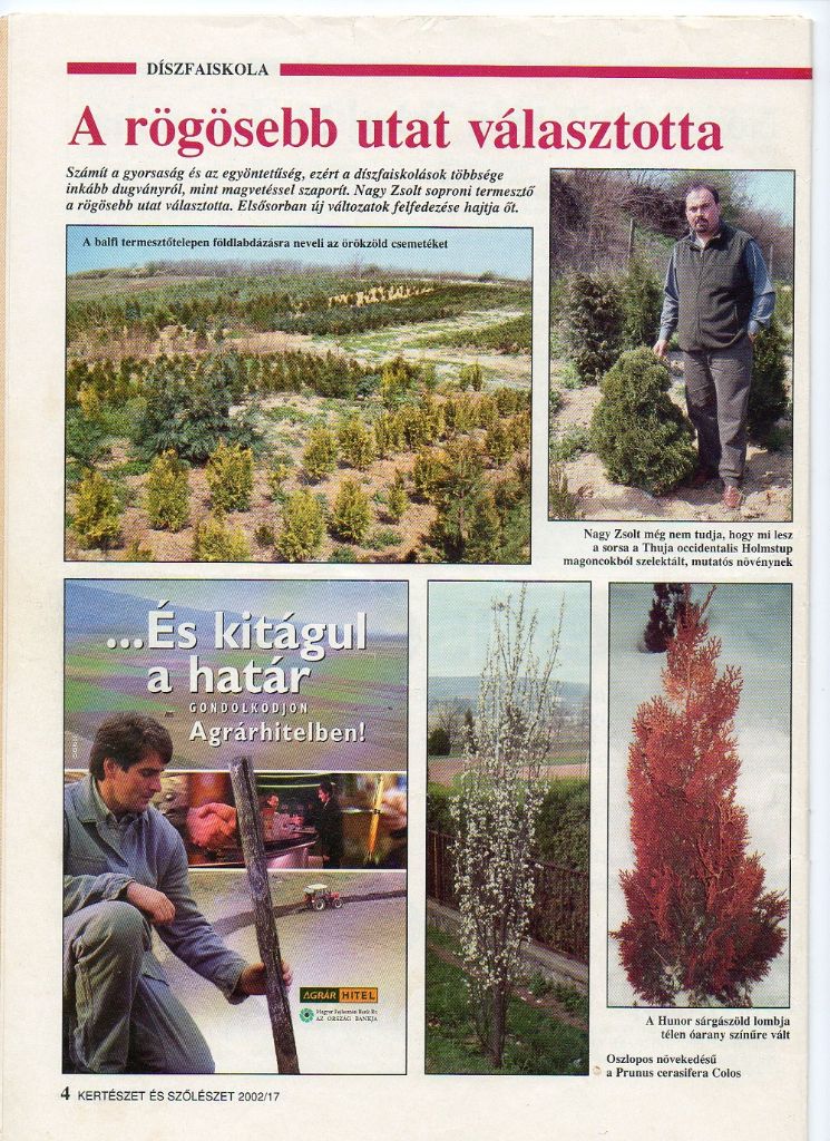 Rólunk